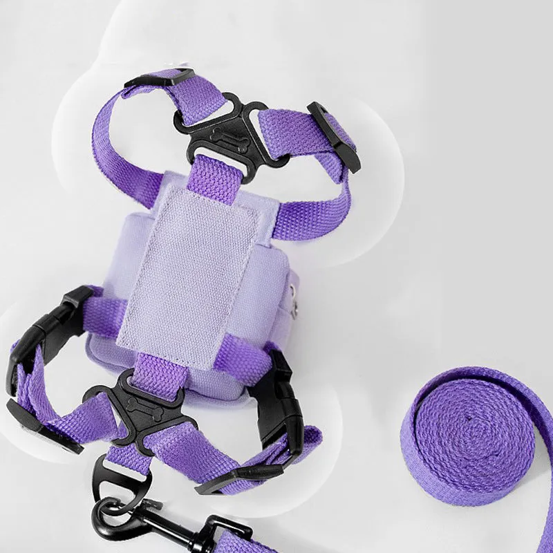 Kitty Leash
