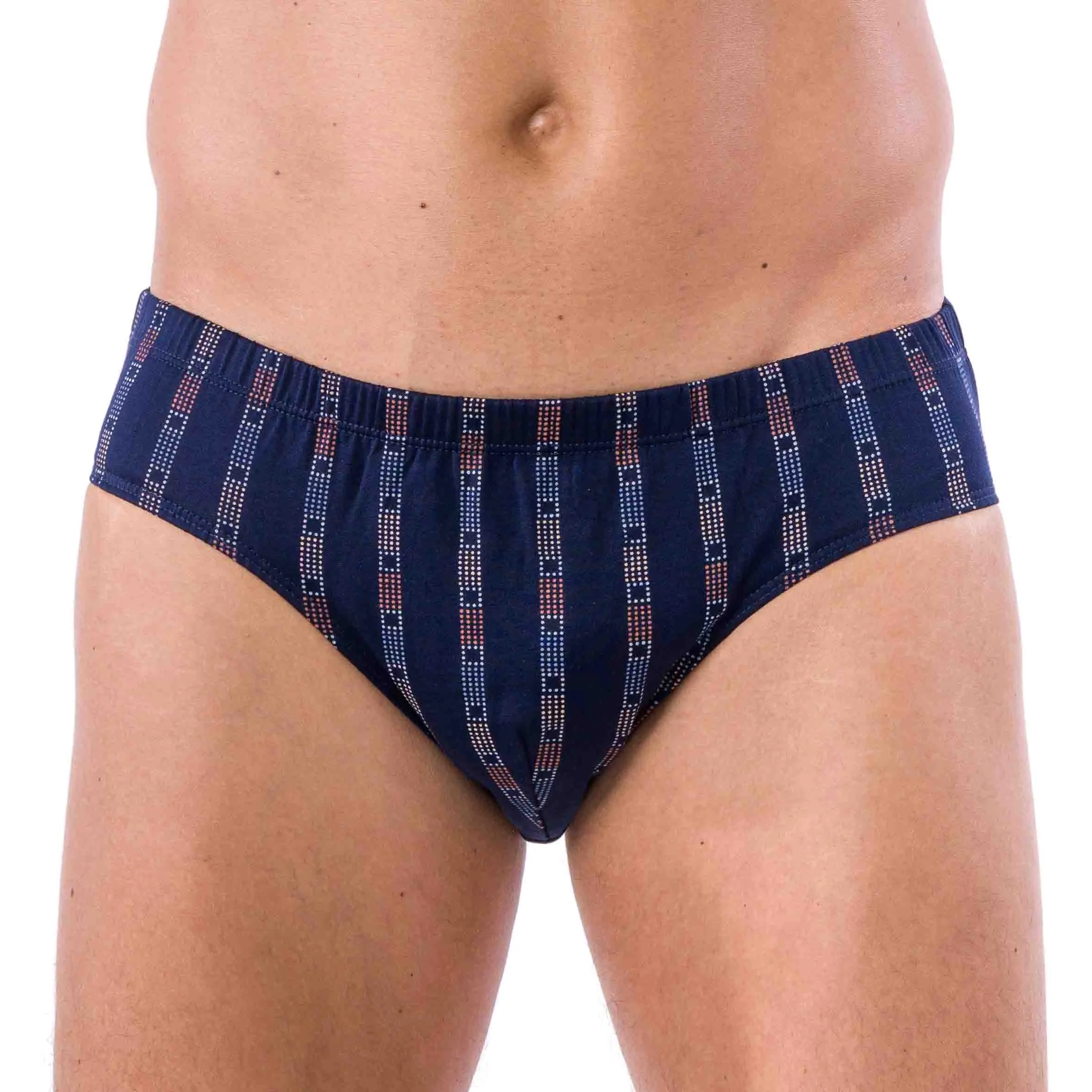 Lot de 2 Slips Taille Basse en Jersey de Coton Mercerisé Imprimé bleu et marine D106.2