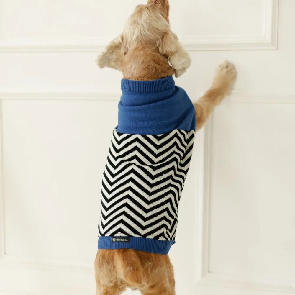 Raisin’s Sweater