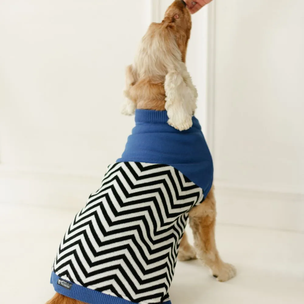Raisin’s Sweater